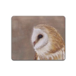 barnowl