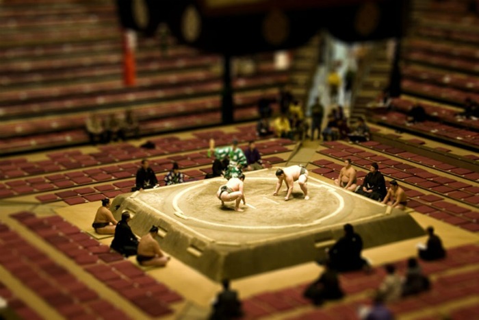 Tilt-shift photograph of sumo wrestlers