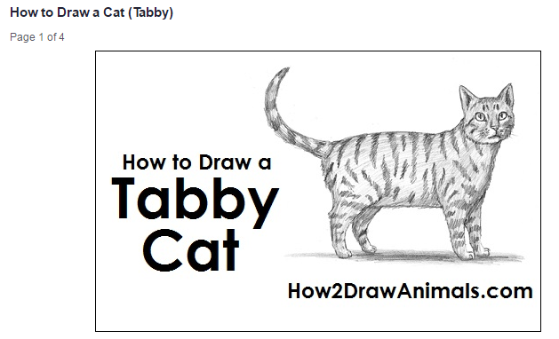 how-2-draw-animals-tabby-cat